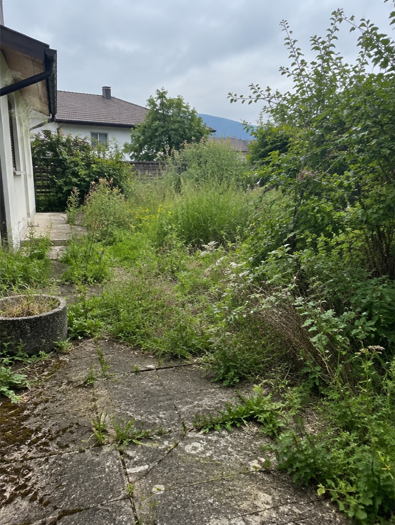 Garten vorher